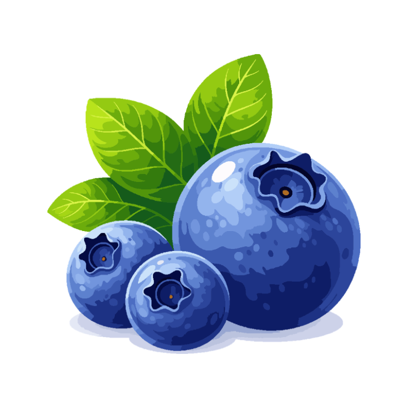 Blueberry Flavor Cream Charger
