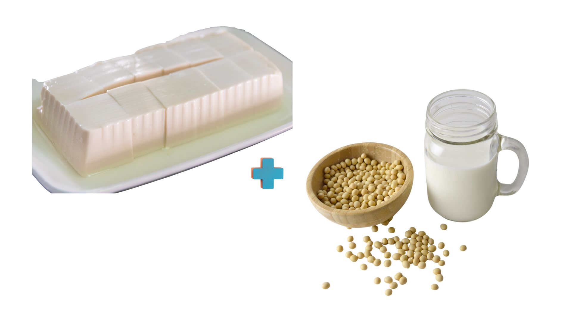 Soy Milk + Silken Tofu
