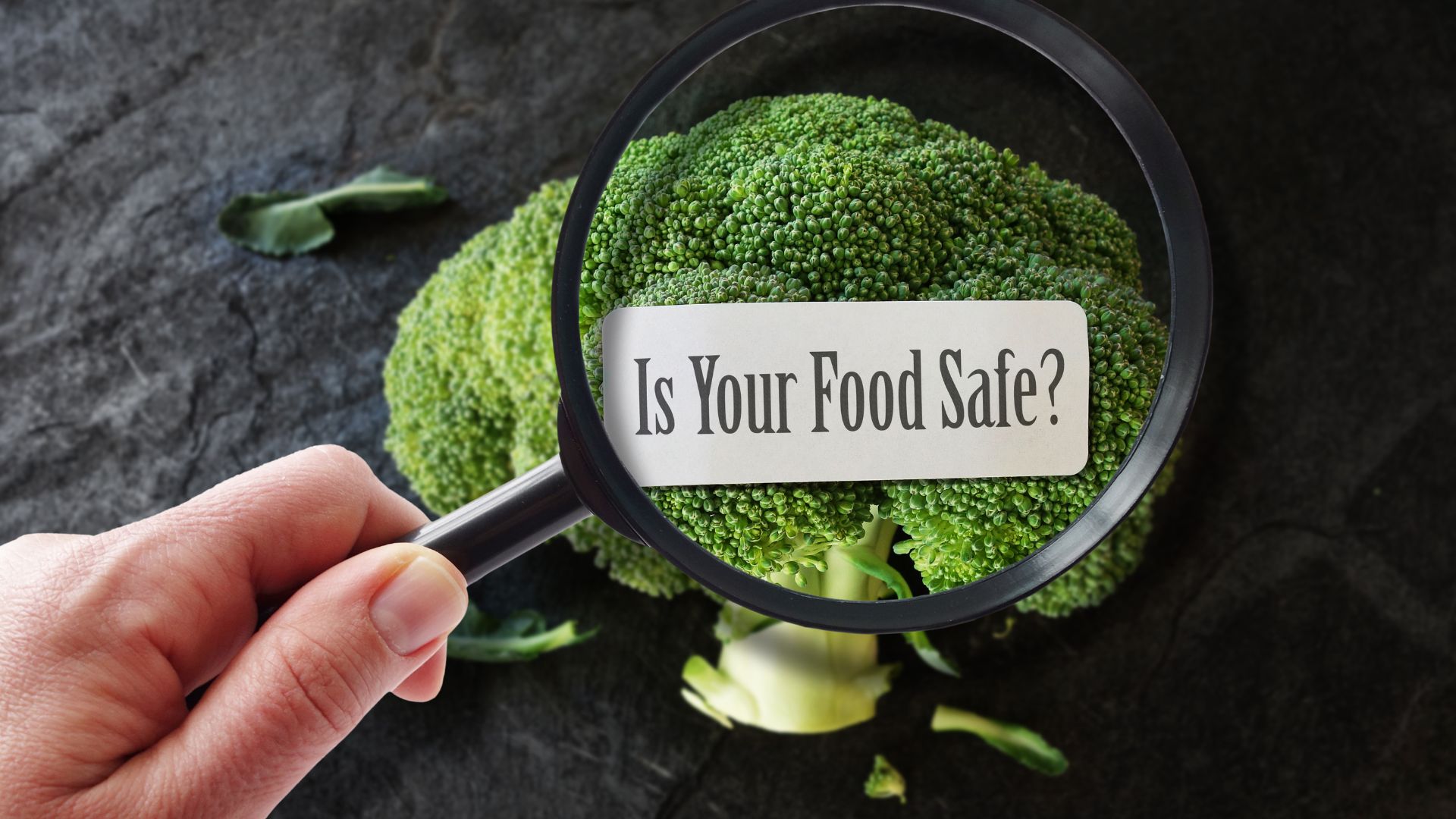 The Importance of Food Safety