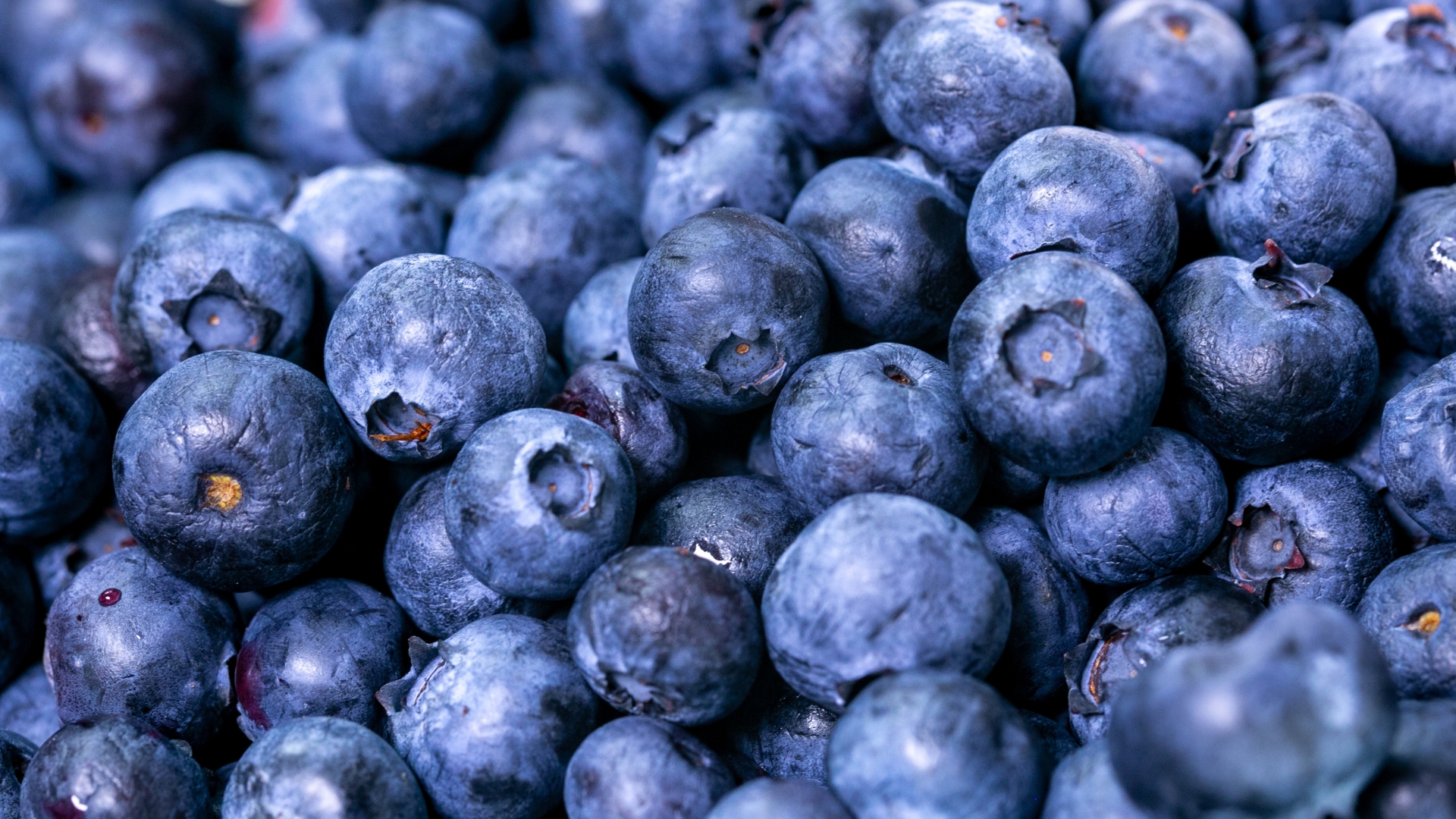 blueberry