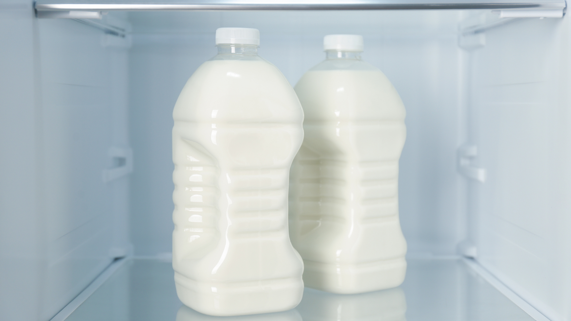 Chill the Cream and the Dispenser