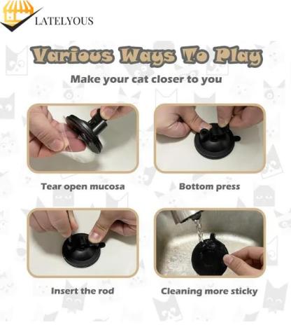 😸Suction Cup Cat Teaser Wand-Interactive Cat Toys Natural Bird Feather