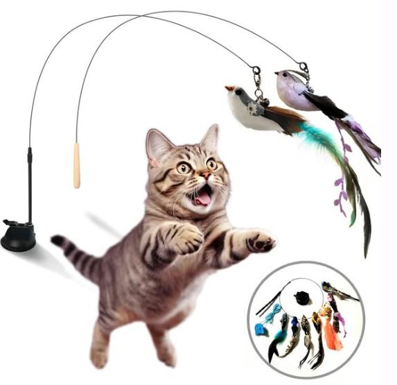 😸Suction Cup Cat Teaser Wand-Interactive Cat Toys Natural Bird Feather