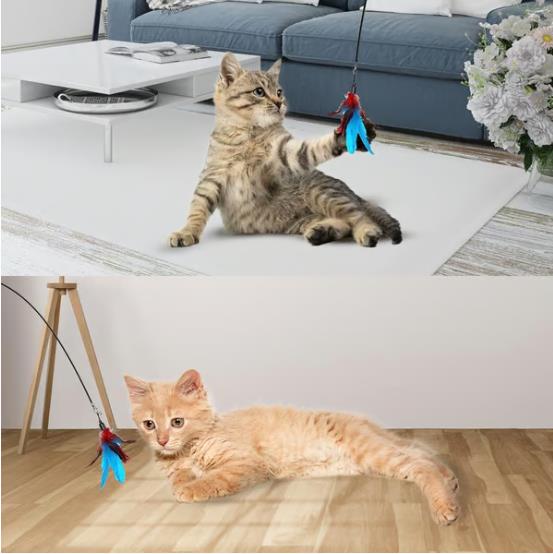 😸Suction Cup Cat Teaser Wand-Interactive Cat Toys Natural Bird Feather