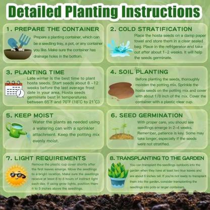 💥2025 Hot Sale 🌌Hosta Seeds Perennial Shade Plant for Garden