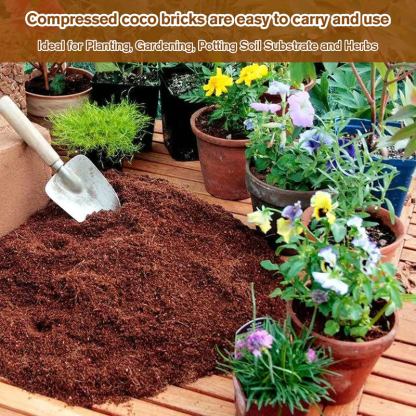 🔥Spring Hot Sale🌱 Premium Organic Coconut Coir Bricks For Plants-PLAWLTD