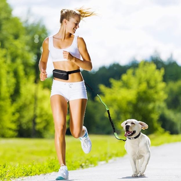 Hands Free Dog Leash with Zipper Pouch