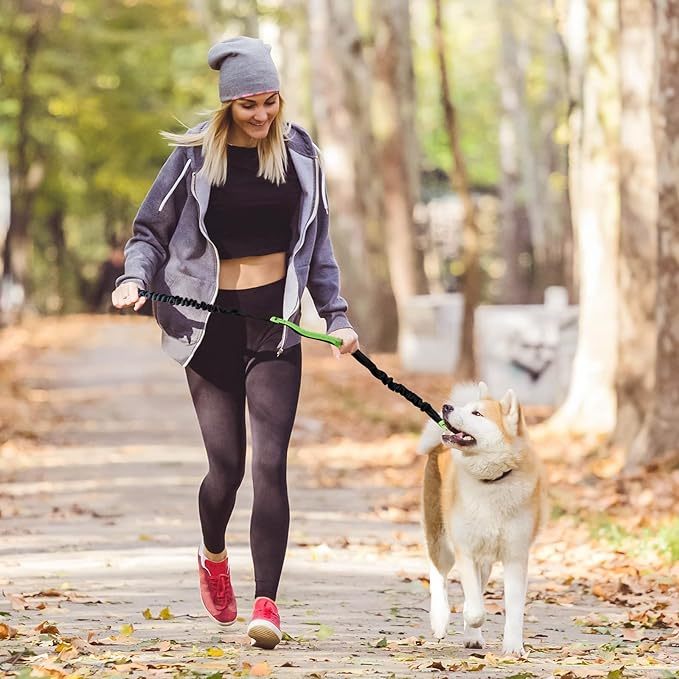 Hands Free Dog Leash with Zipper Pouch