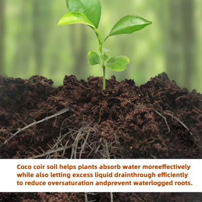 🔥Spring Hot Sale🌱 Premium Organic Coconut Coir Bricks For Plants-PLAWLTD