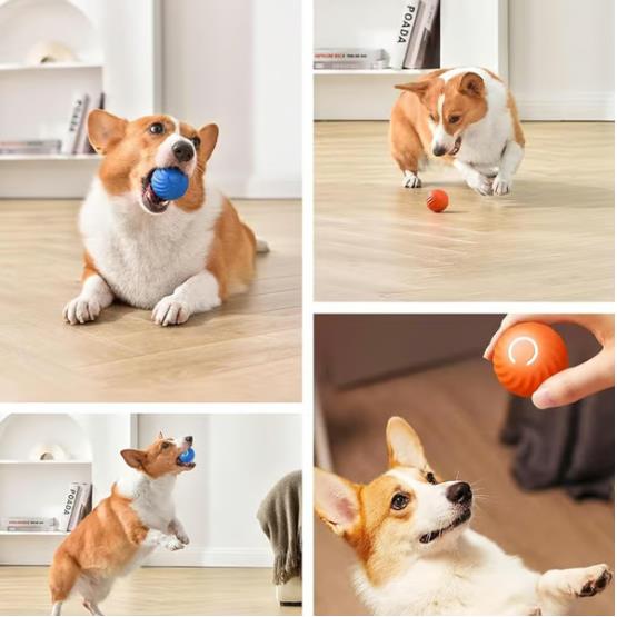 🐶Last Day Promotion - 🎁Automatic Smart Teasing Dog Ball That Can't be Bitten