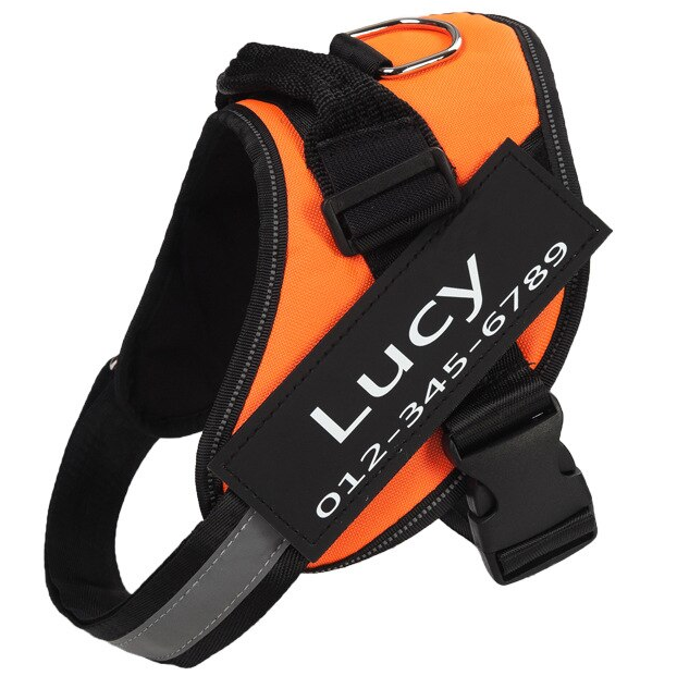 🔥Hot Sale🔥The Personalized NO PULL Harness (Can customize pet's name and your contact information)