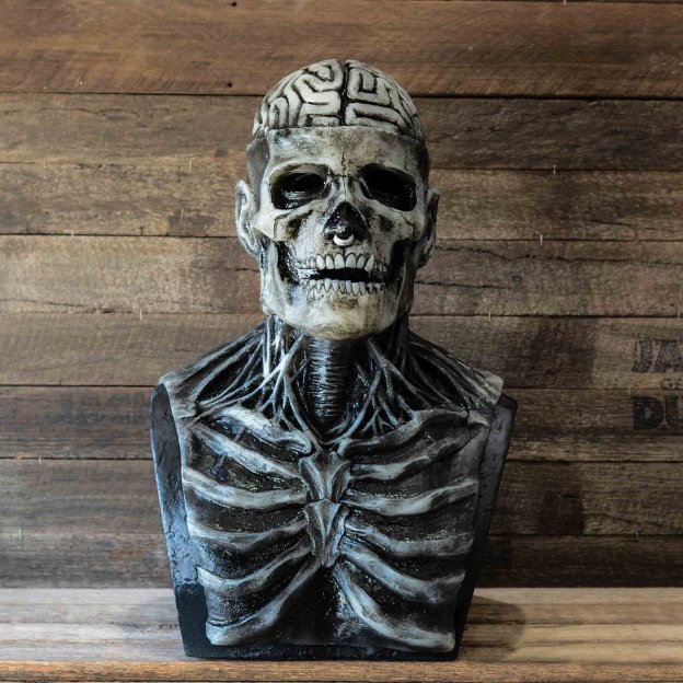 ☠️Full Head Skeleton Halloween Mask ☠️Buy 2 Free Shipping-PLAWLTD