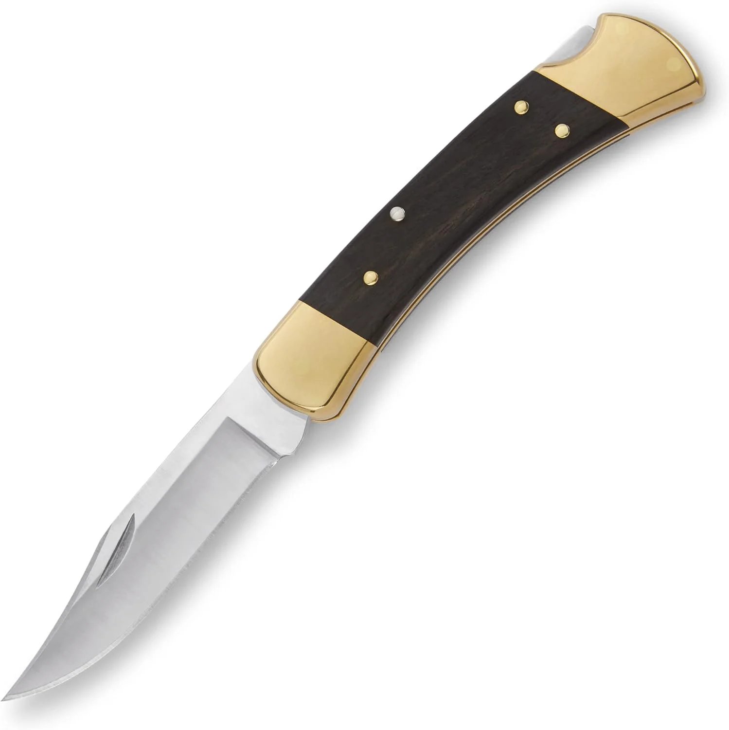 Buck 110 Folding Hunter Lock-back Knife, Brass Bolsters, Ebony Handles, 3-3/4" 420HC Blade with Leather Sheath-PLAWLTD