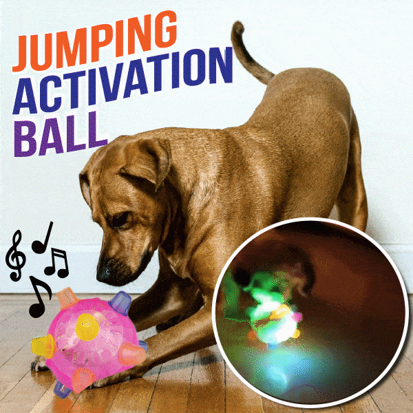 Jumping Activation Ball for Dogs🐶🥎-PLAWLTD