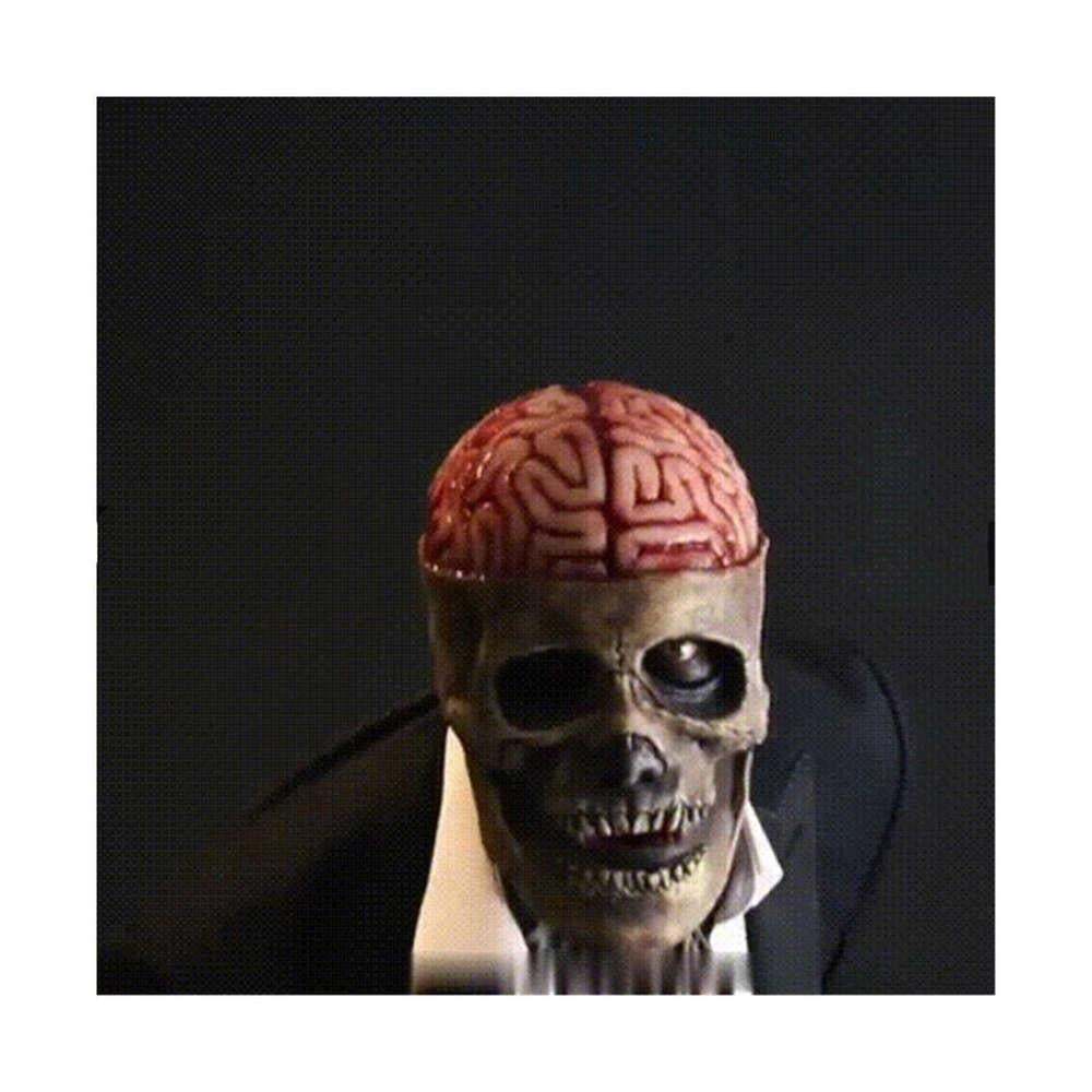 ☠️Full Head Skeleton Halloween Mask ☠️Buy 2 Free Shipping-PLAWLTD