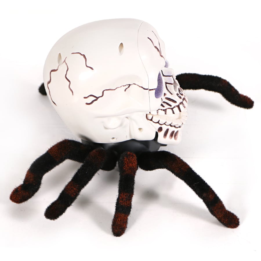 Halloween Skeleton Decor Remote Control Toy-PLAWLTD