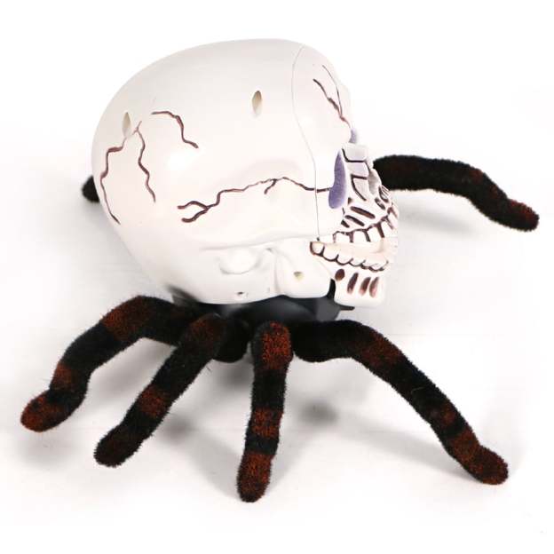 Halloween Skeleton Decor Remote Control Toy-PLAWLTD