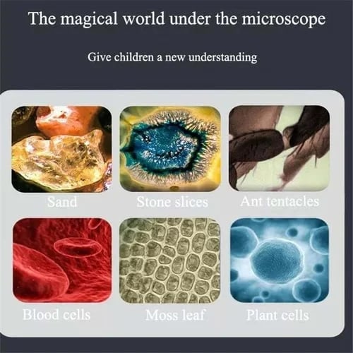 ✨This Week's Special Price 💥 Kid's Portable Pocket Microscope With Adjustable Zoom 60-120x