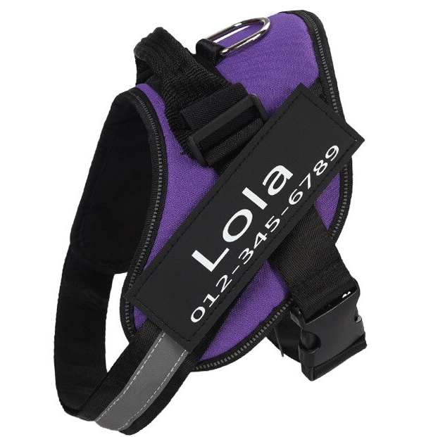 🔥Hot Sale🔥The Personalized NO PULL Harness (Can customize pet's name and your contact information)