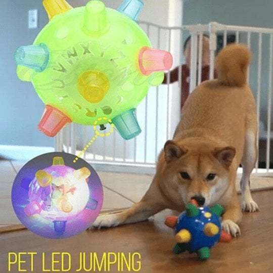 💥Hot Sale 45% OFF💥Jumping activation ball for dogs and cats-PLAWLTD