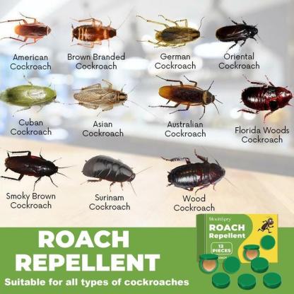 Household Strong Cockroach Killing Gel