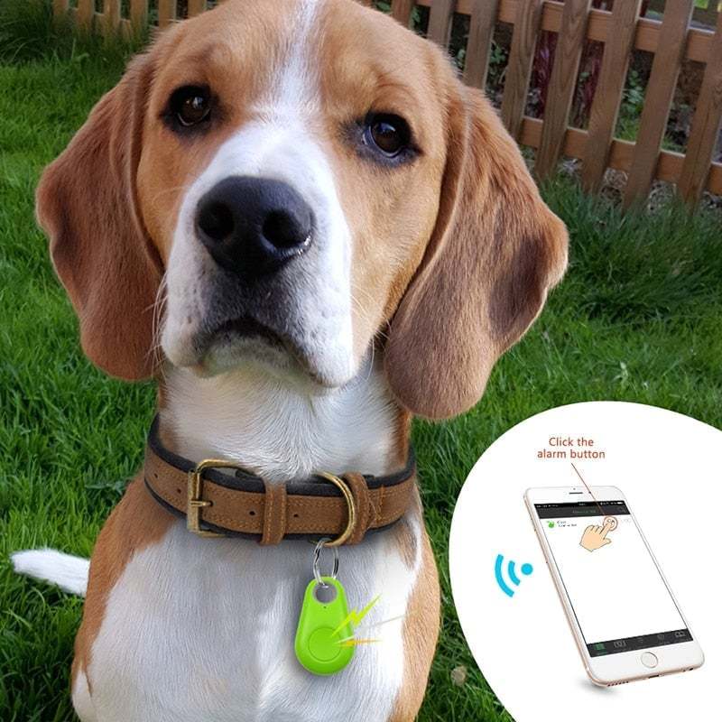 Bluetooth and GPS Pet Wireless Tracker🔥-PLAWLTD
