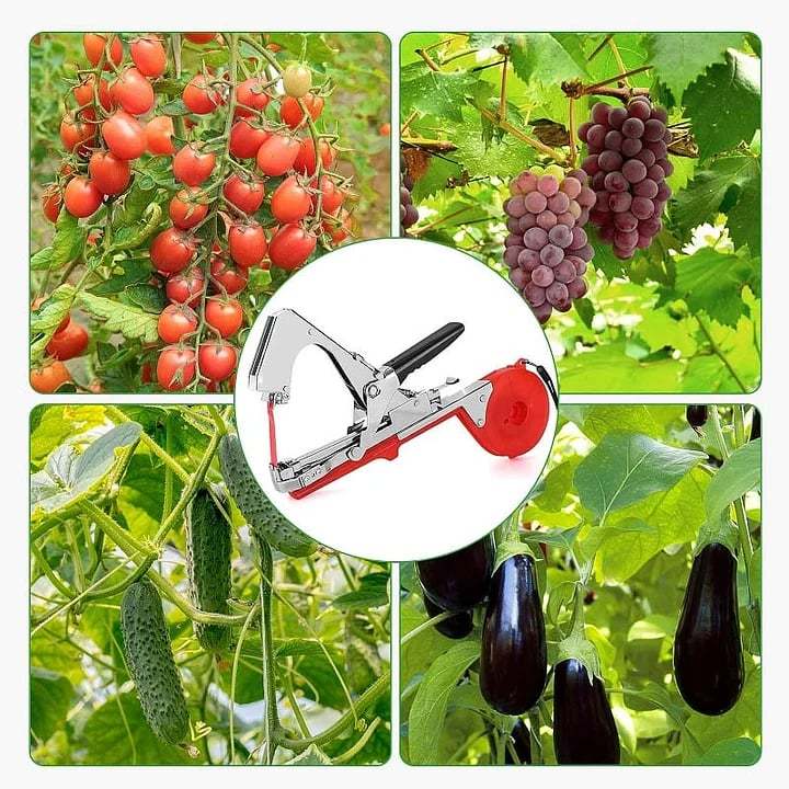 🌹Last Day 49% OFF -🍅Plant Tying Machine🌶️-PLAWLTD
