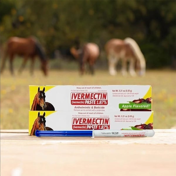ivermectin Horse Paste 1.87% 6.08g Tubes-PLAWLTD