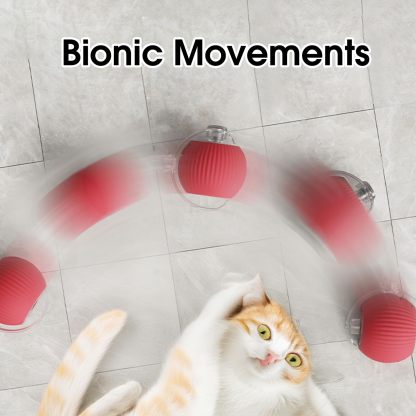 Rollraptor interactive pet toy ball