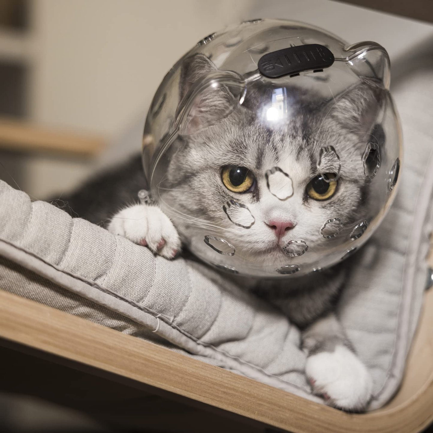 Cat Grooming Mask with Anti-Bite-PLAWLTD