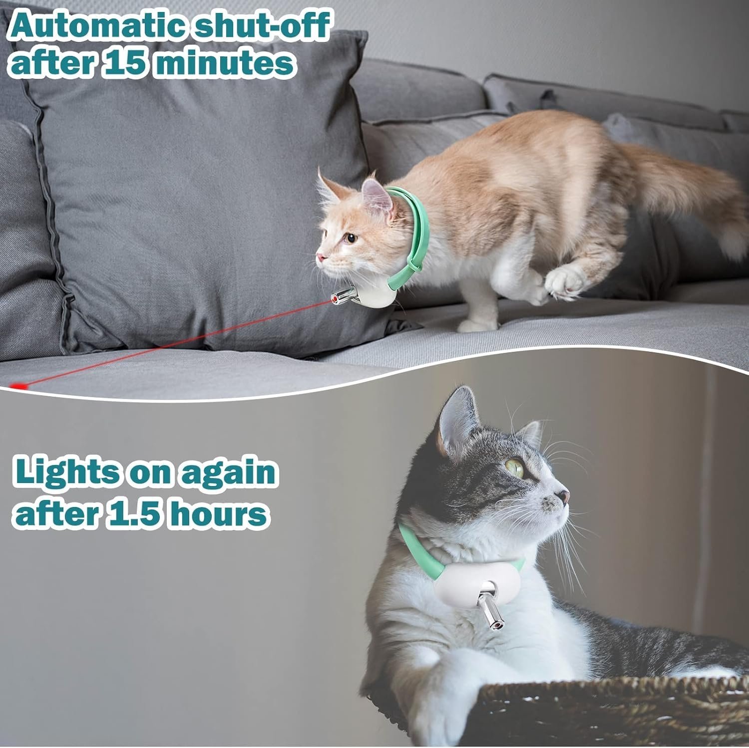 🐾Automatic laser infrared cat collar-PLAWLTD