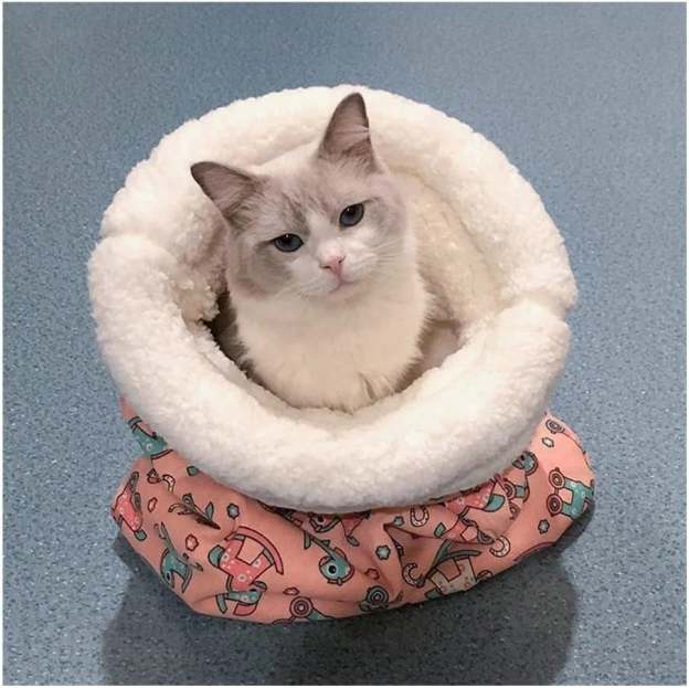 🔥Last Day 45% OFF - 🐾Cozy Pet Nest for Small Cats and Dogs
