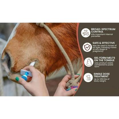 ivermectin Horse Paste 1.87% 6.08g Tubes-PLAWLTD