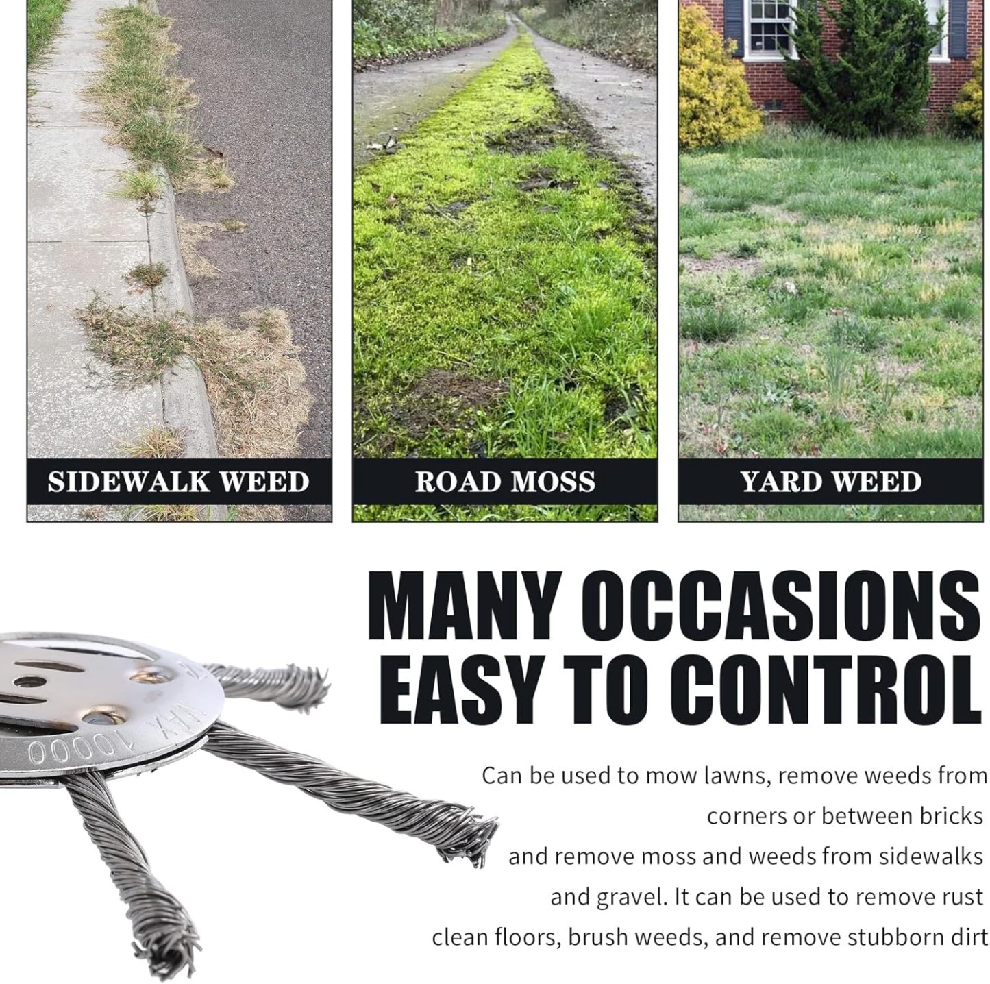 🔧 6" Steel Wire Brush Trimmer Head-PLAWLTD