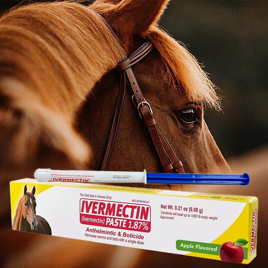 ivermectin Horse Paste 1.87% 6.08g Tubes-PLAWLTD