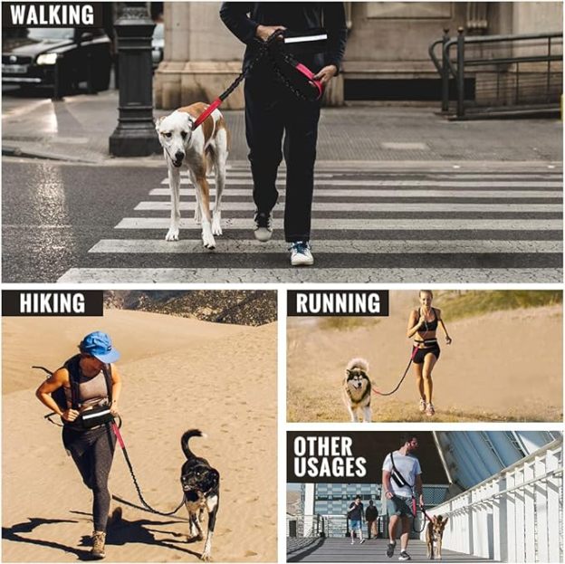 Hands Free Dog Leash with Zipper Pouch