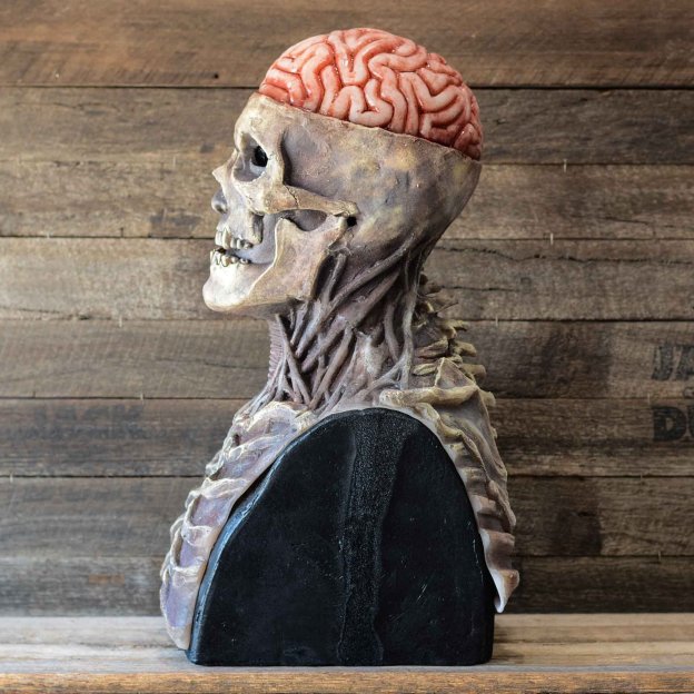 ☠️Full Head Skeleton Halloween Mask ☠️Buy 2 Free Shipping-PLAWLTD