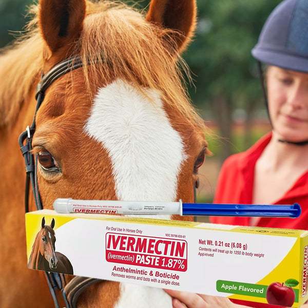 ivermectin Horse Paste 1.87% 6.08g Tubes-PLAWLTD