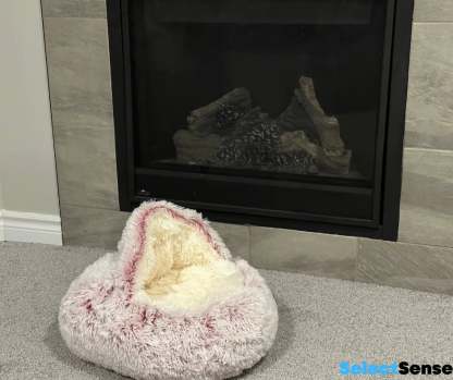 🔥Cat Plush Bed
