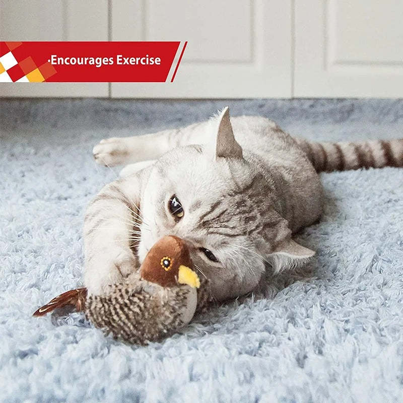 Interactive Bird Cat Toy 🐱🐦