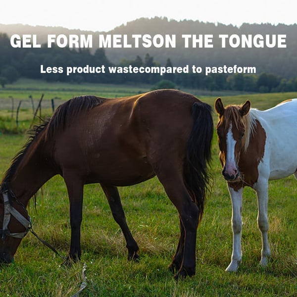 ivermectin Horse Paste 1.87% 6.08g Tubes-PLAWLTD