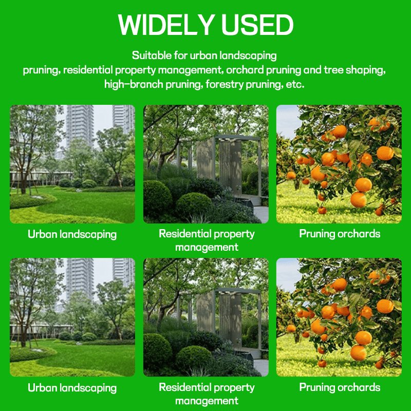 🔧 6" Steel Wire Brush Trimmer Head-PLAWLTD