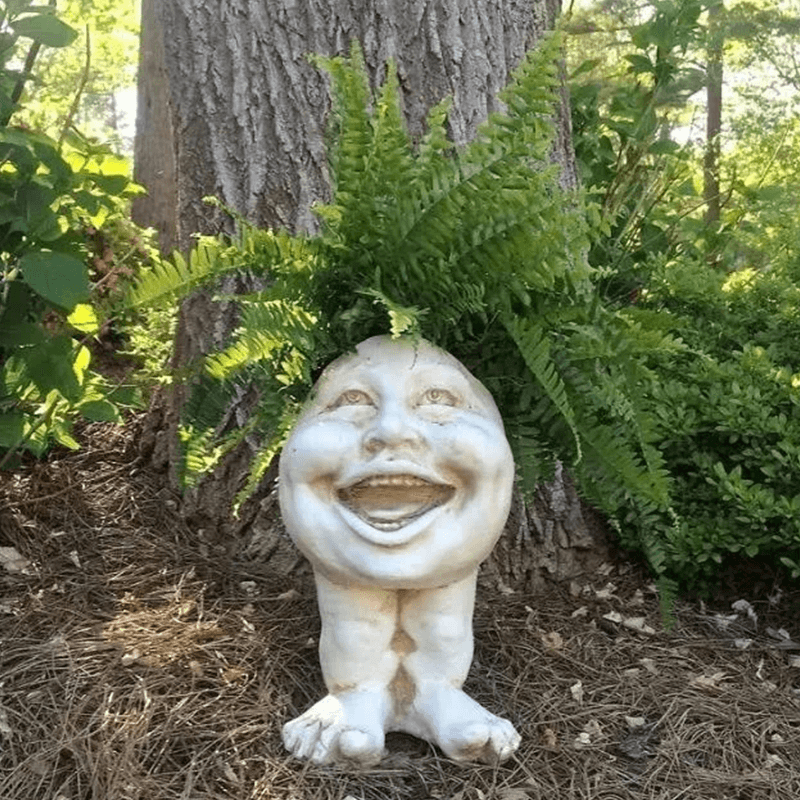 Fanyil Joy Planter:A Touch of Whimsy for Your Home and Garden