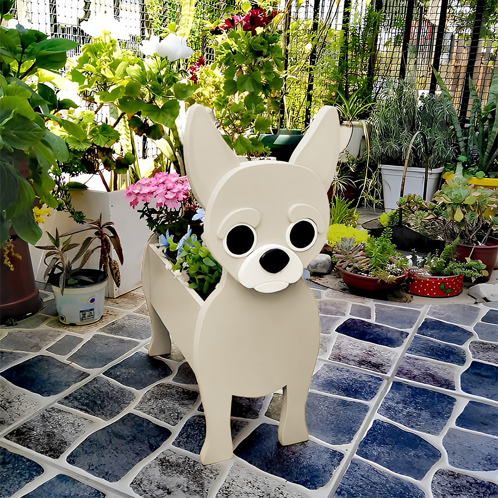 Chihuahua Planter-PLAWLTD