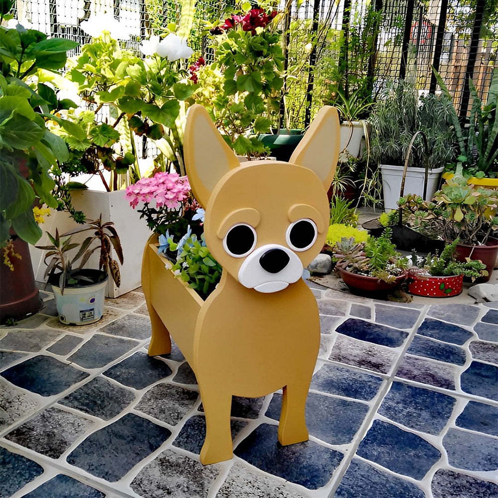 Chihuahua Planter-PLAWLTD