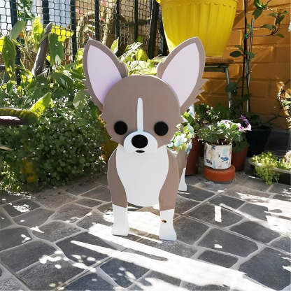 Chihuahua Planter-PLAWLTD