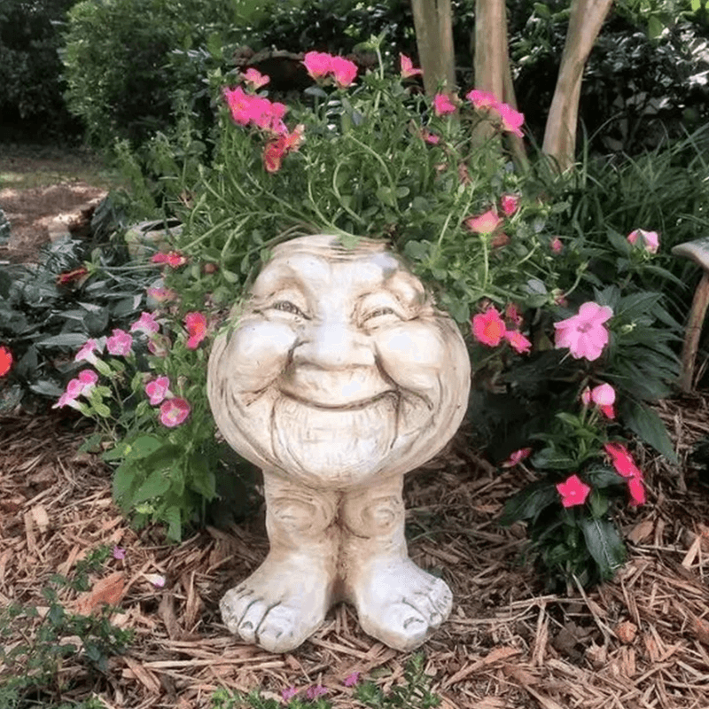 Fanyil Joy Planter:A Touch of Whimsy for Your Home and Garden