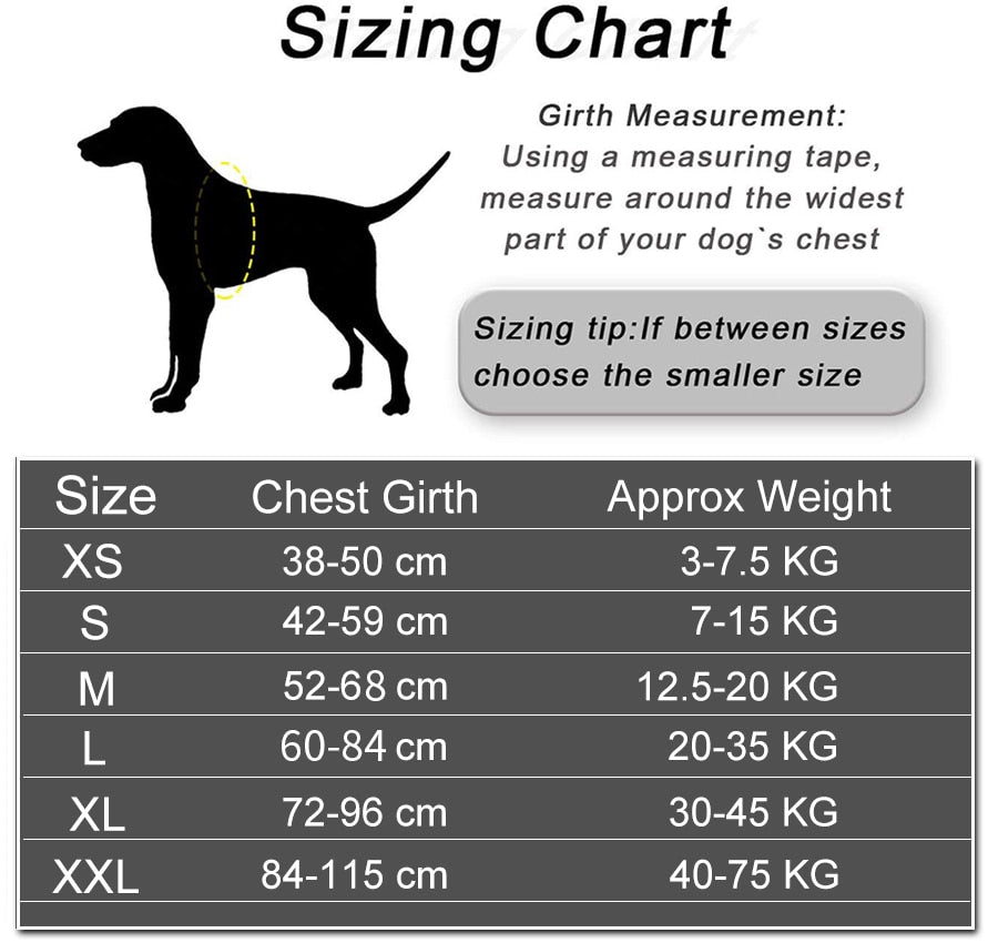 🔥Hot Sale🔥The Personalized NO PULL Harness (Can customize pet's name and your contact information)