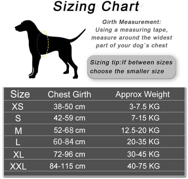 🔥Hot Sale🔥The Personalized NO PULL Harness (Can customize pet's name and your contact information)