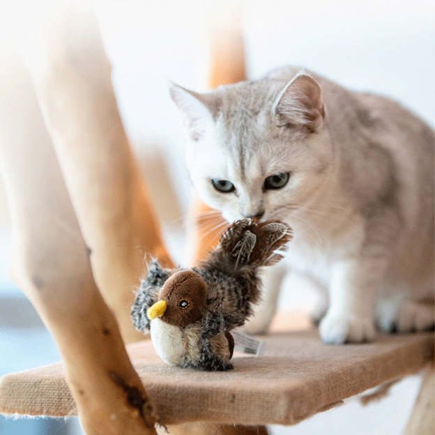 Interactive Bird Cat Toy 🐱🐦